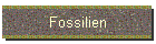 Fossilien